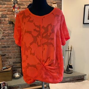 Dex Clothing Sheer Top